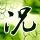 《巫师》高水平同人短片 猎魔人干架前疯狂嗑药